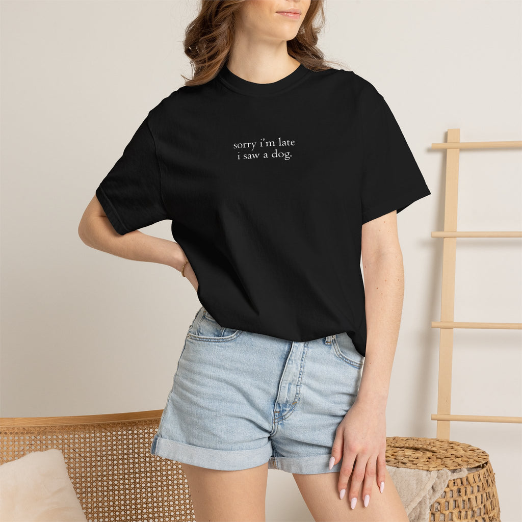 Classic White Garment-Dyed T-Shirt — Vintage Soft Tee