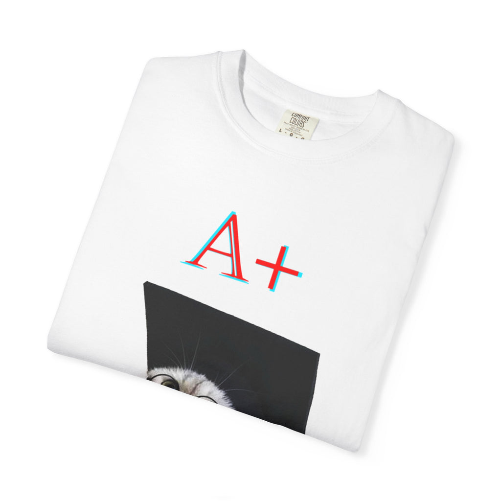 Graduation Cat A+ T-Shirt