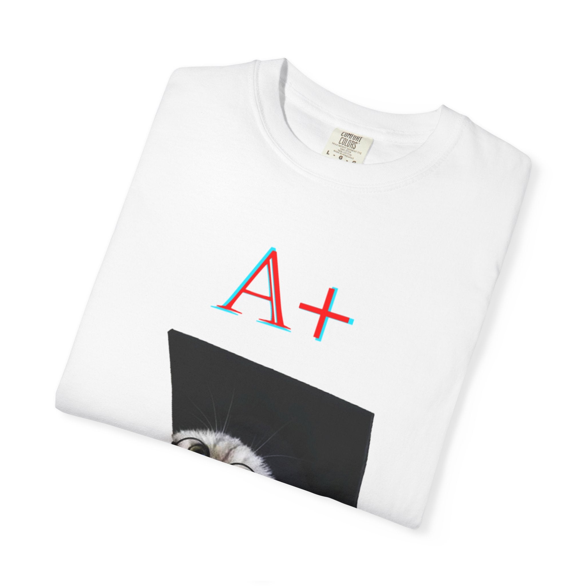 Graduation Cat A+ T-Shirt